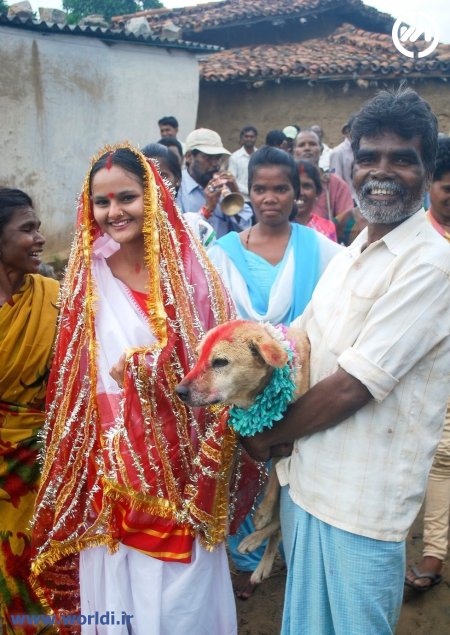 ازدواج با سگ در هند