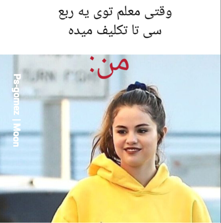 میمهای (عکس نوشتههای) سلینایی میمهای (عکس نوشتههای) سلینایی