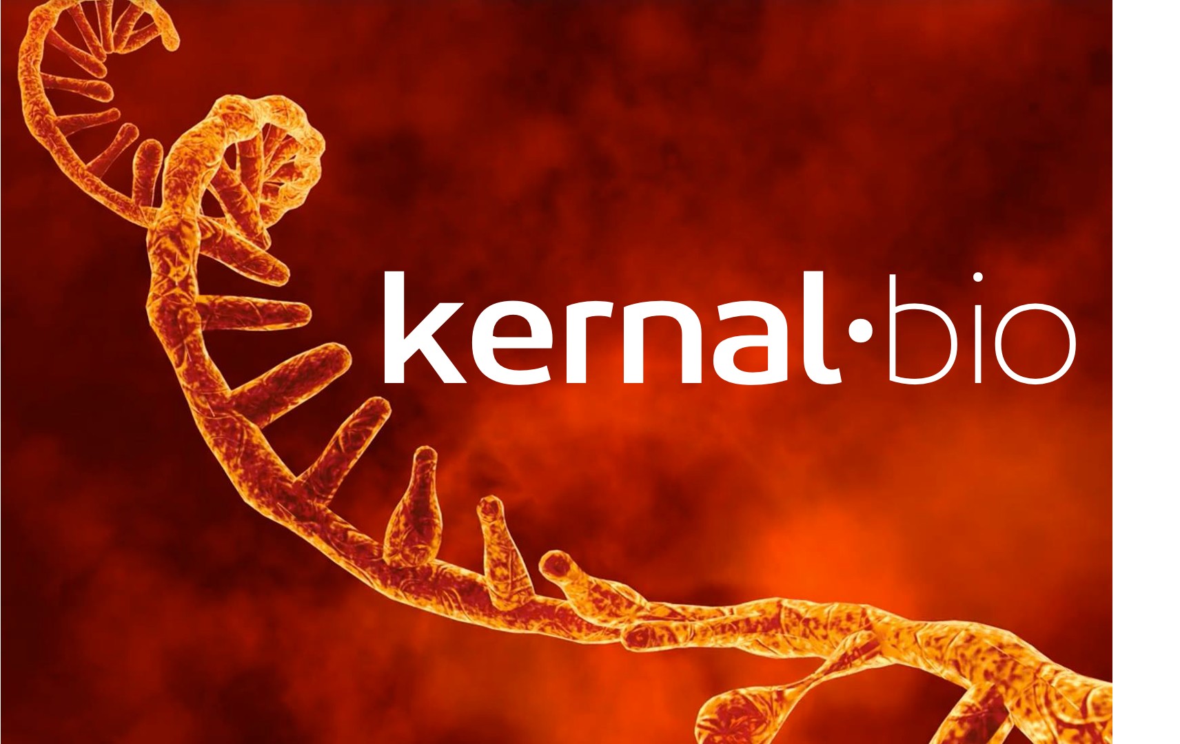 تکنولوژی mRNA استارتاپ شتابدهنده