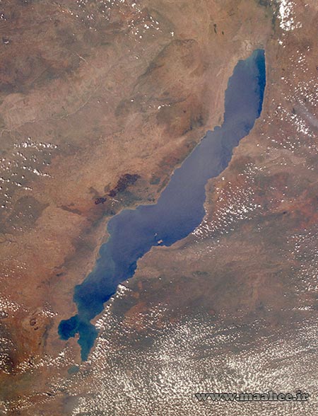اکوسیستم های آفریقا : دریاچه مالاوی (Lake Malawi)