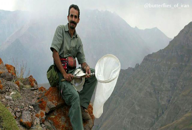 علیرضا نادری (مولف کتاب پروانه های ایران)