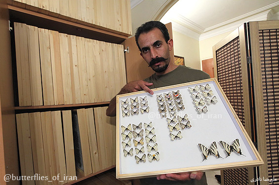علیرضا نادری