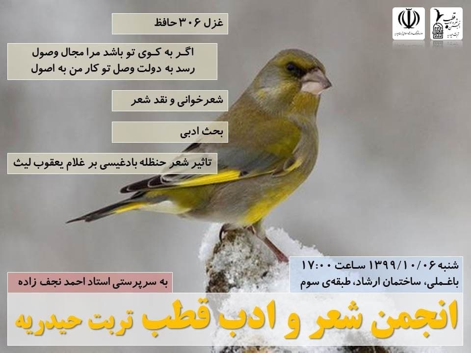 انجمن شعر و ادب قطب تربت حیدریه
