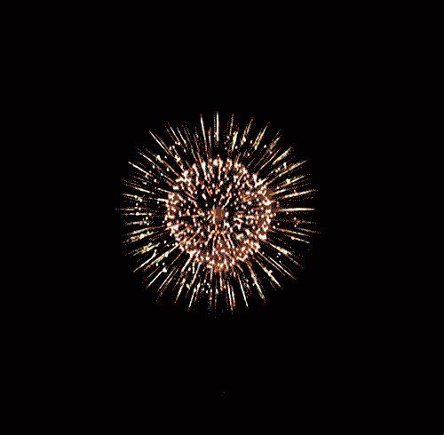 [تصویر:  chrysanthemum_firework_effect.gif]